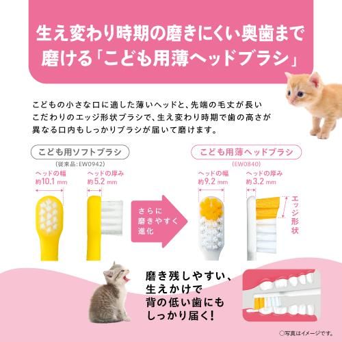 パナソニック 替えブラシ ドルツ こども用ソフトブラシ 2本組 EW0942-W