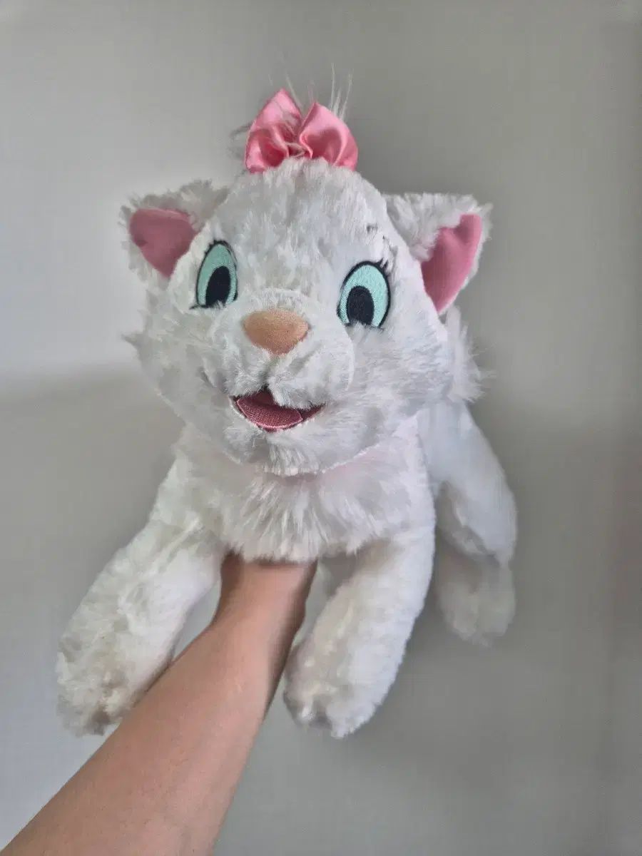 ゆーちん様専用□BURTON DESCENDANT155×CUSTOMバインディ