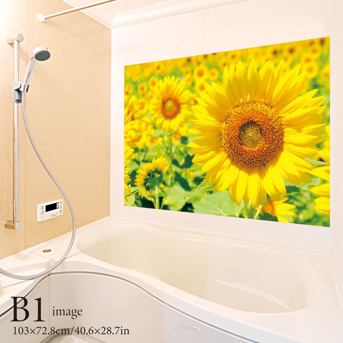 ひまわり畑 B お風呂ポスター 防水ポスター