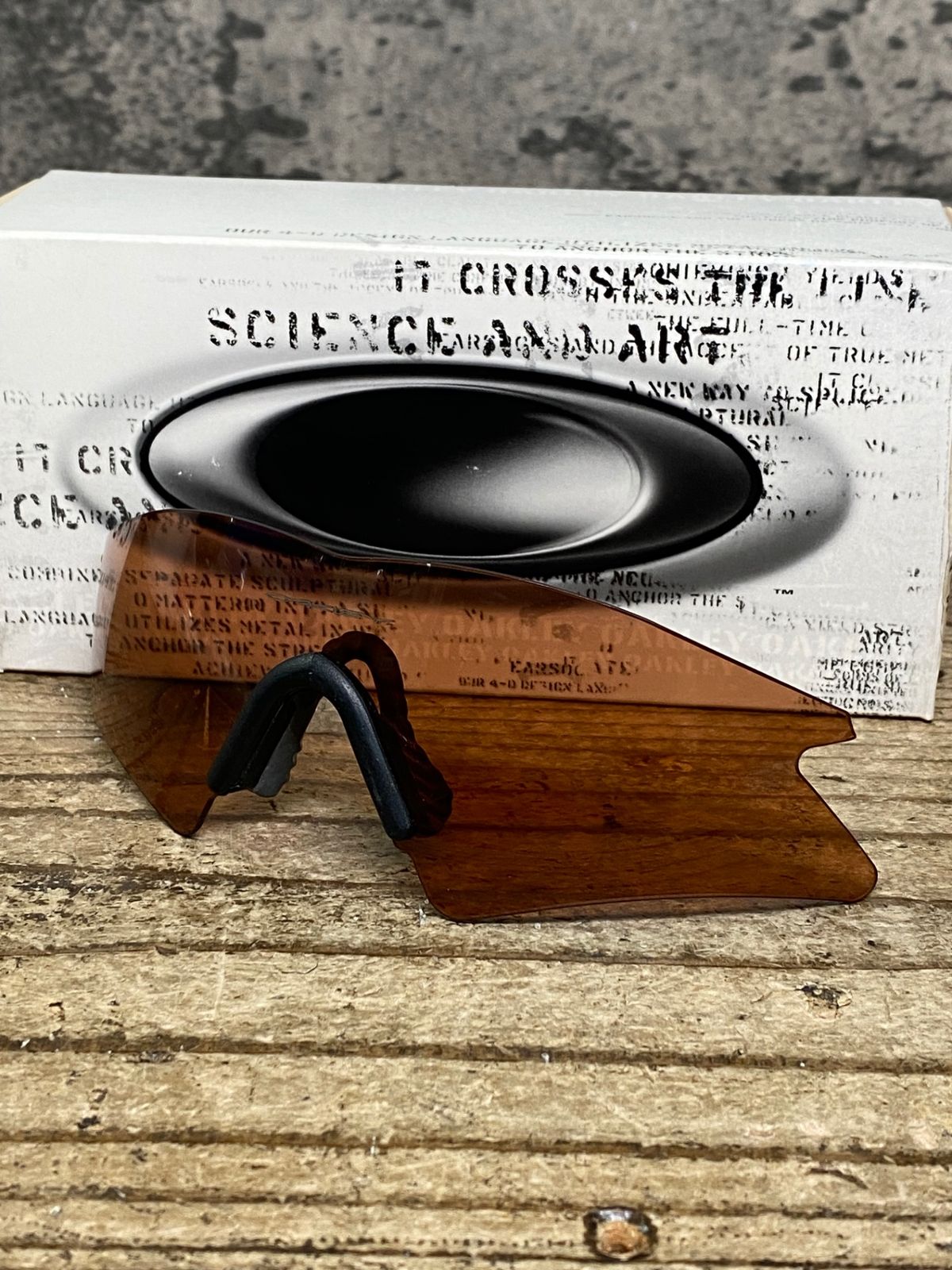 ☆ 境 肇 ☆「サンゴ草」油絵 F4号 新品額！