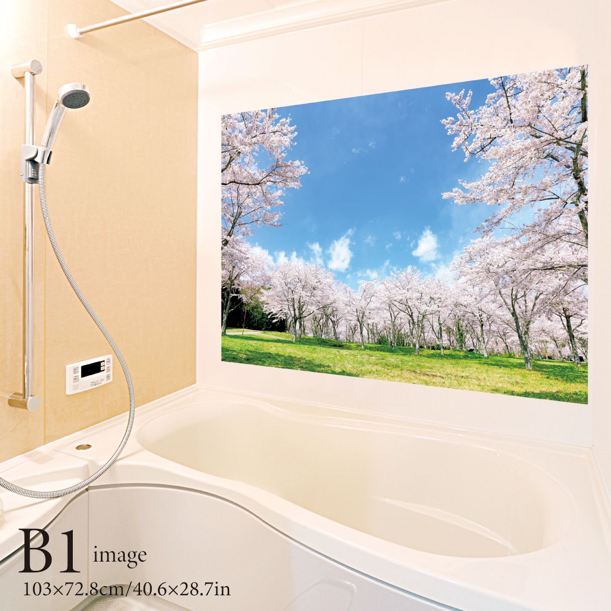 満開の桜 B お風呂ポスター 防水ポスター