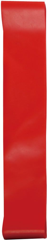 ハタ HATAS BBバンド ループエクササイズバンドセット Heavy グッズ 小物 部活 チーム トレーニング 筋トレ エクササイズ 宅トレ ながら運動  20R0575H レッド