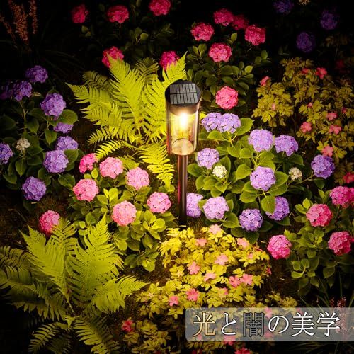  LETMY ガーデンライト 屋外 ソーラーライト 照明 庭 ライト ソーラー ニューバージョン 透明ランプシェード セット 大容量 IP 65防水 高輝度 おしゃれ 埋め込み式 自動点灯 消灯 歩道 パーティー 駐車場 花 b 10753 ab その他 キッチン 食器