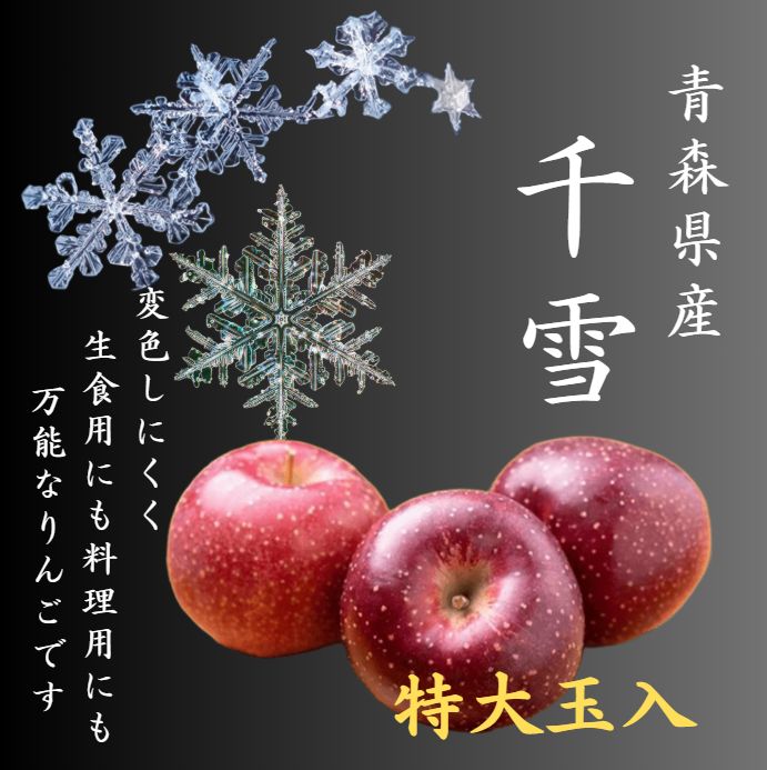超希少 初版 【新品・未読品】 『命と脳』西田文郎