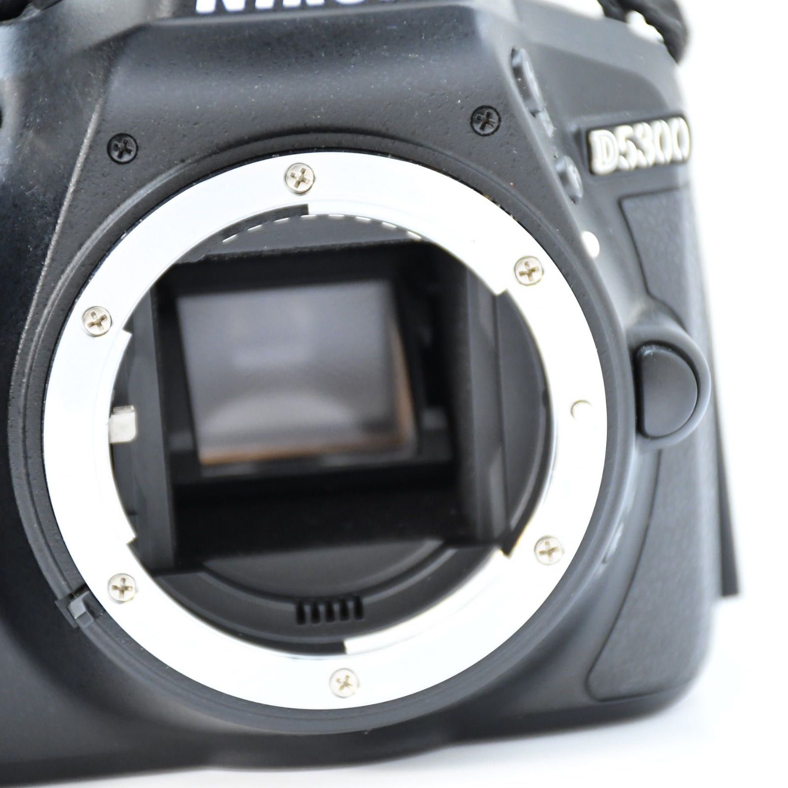 シャッター数4094回】Nikon D5300 ダブルレンズ - メルカリ