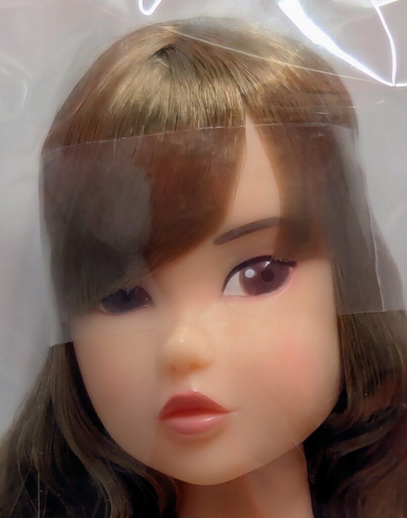 ペットワークス CCS-momoko Today s momoko 1909 3 rd