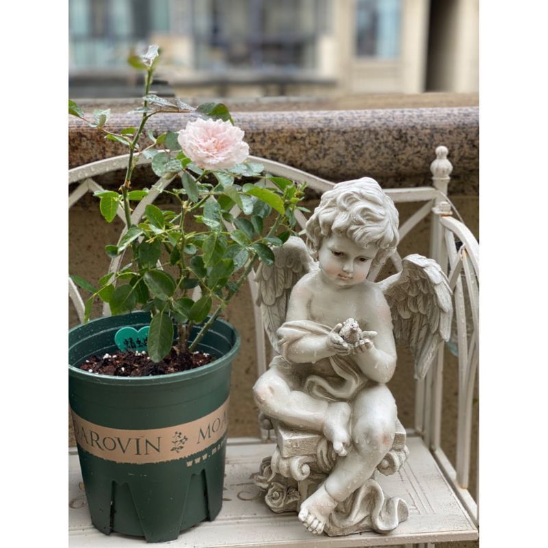 天使 エンジェル ガーデンオーナメント 置物 オブジェ 庭 ヨーロピアン