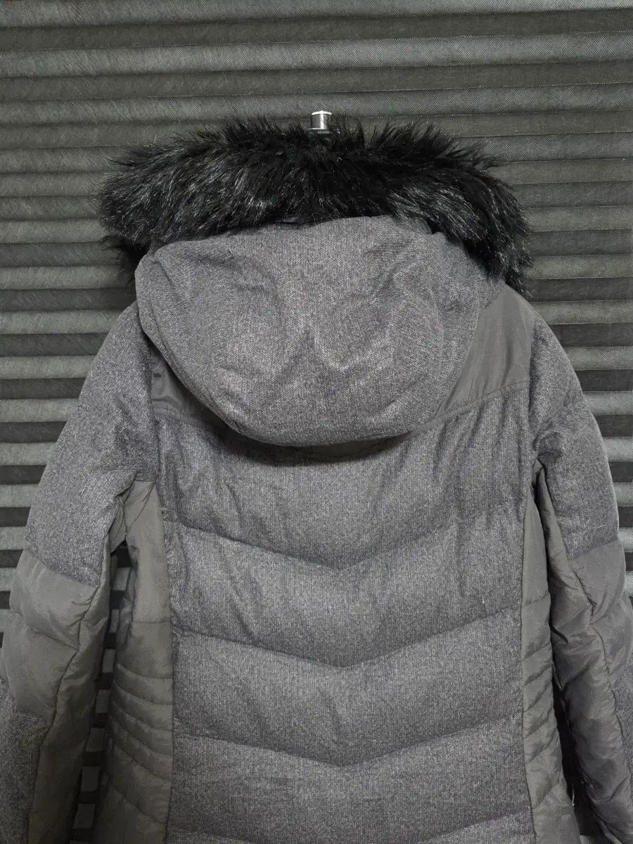 FACE ザノースフェイス