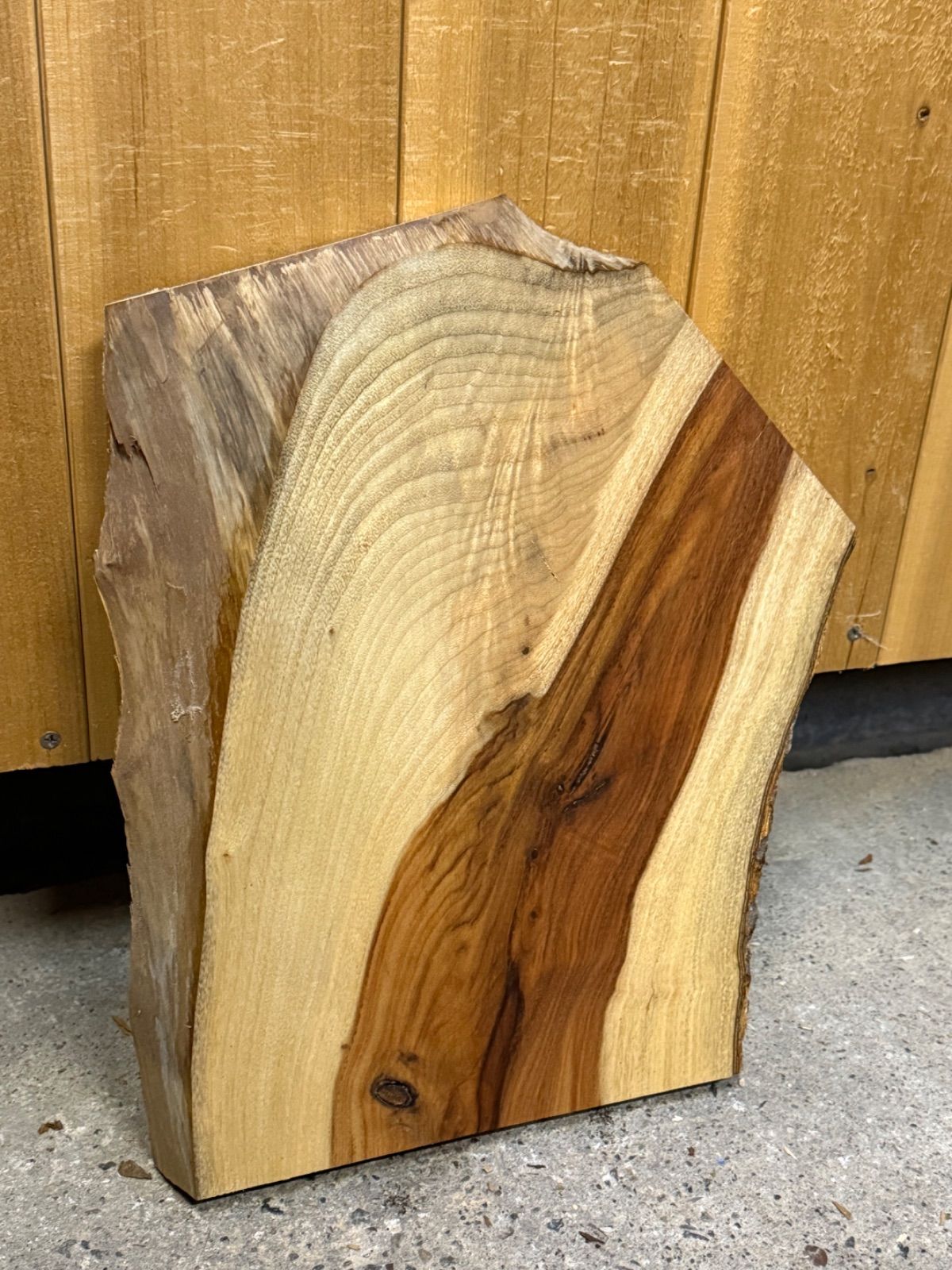 【美品】バランスイージー レッド 通常フレーム 調整ガイド付き 美品】バランスイージー レッド 通常フレーム 調整ガイド付き