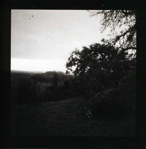 - Beast of Riddles Monster Light