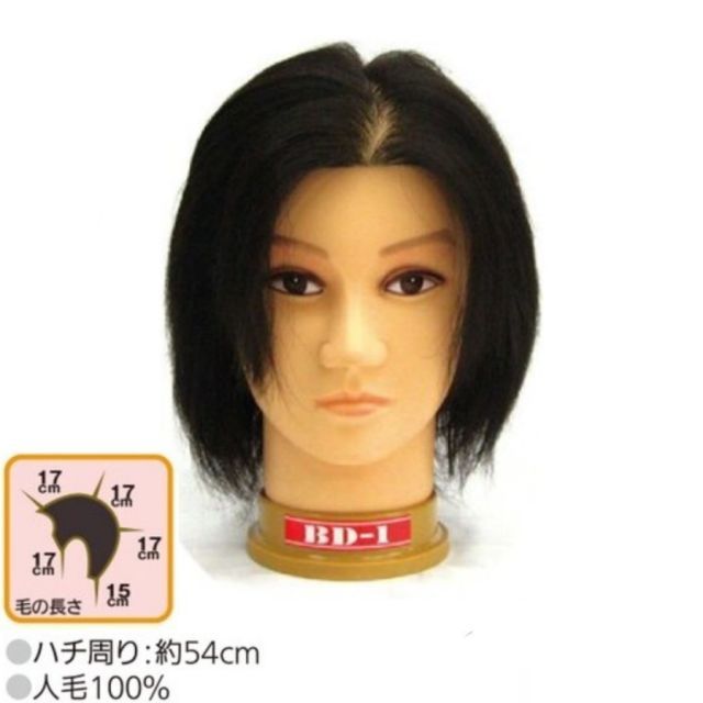 値下げ中】ロックマンエグゼ カードダス 大量 まとめ売り235種類