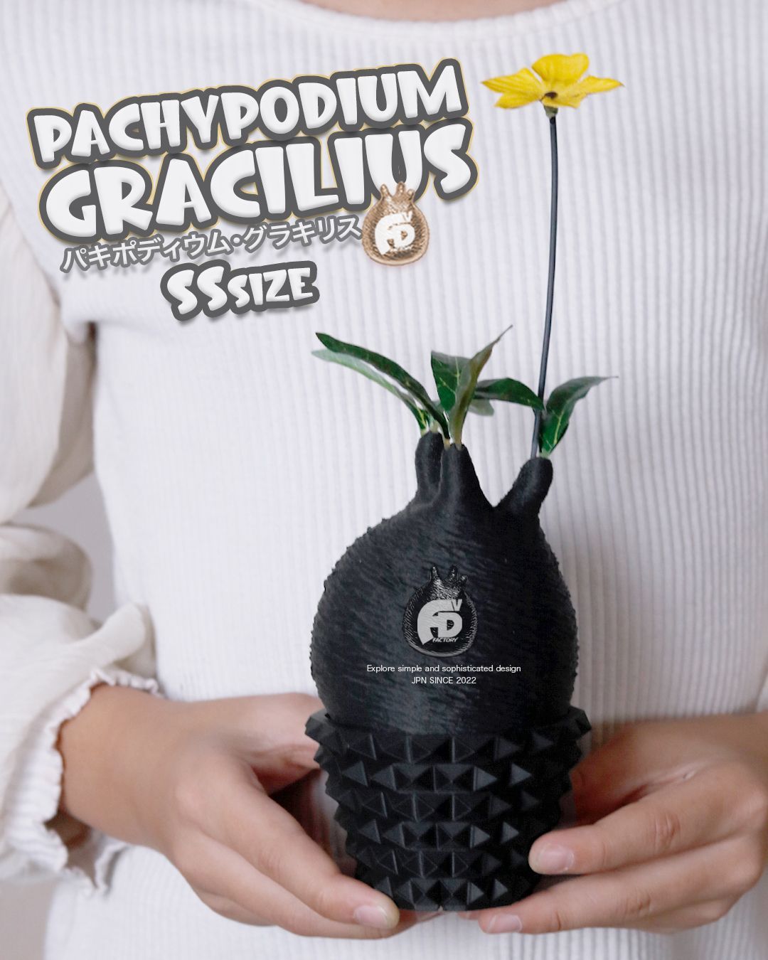 53体！！ディアゴスティーニ 世界の昆虫 データブック4冊