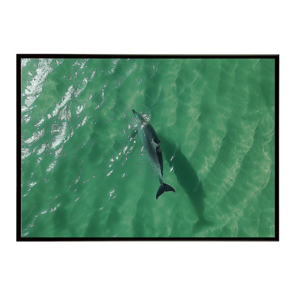 A2サイズ（約42x59cm）】【lh-poster-5831】イルカ 海 ブルー ドルフィン 夏 ポスター クジラ 人気 シャチ