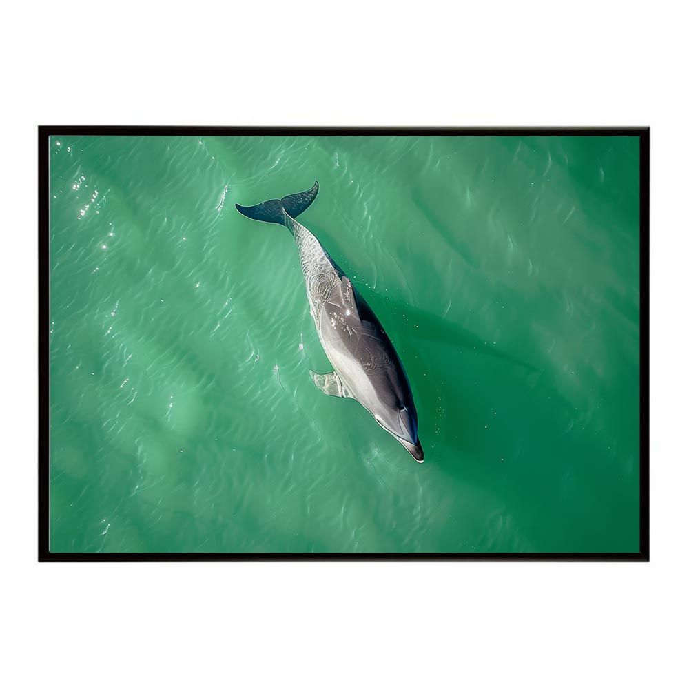 A1サイズ（約59x84cm）】【lh-poster-5837】イルカ 海 ブルー 節約