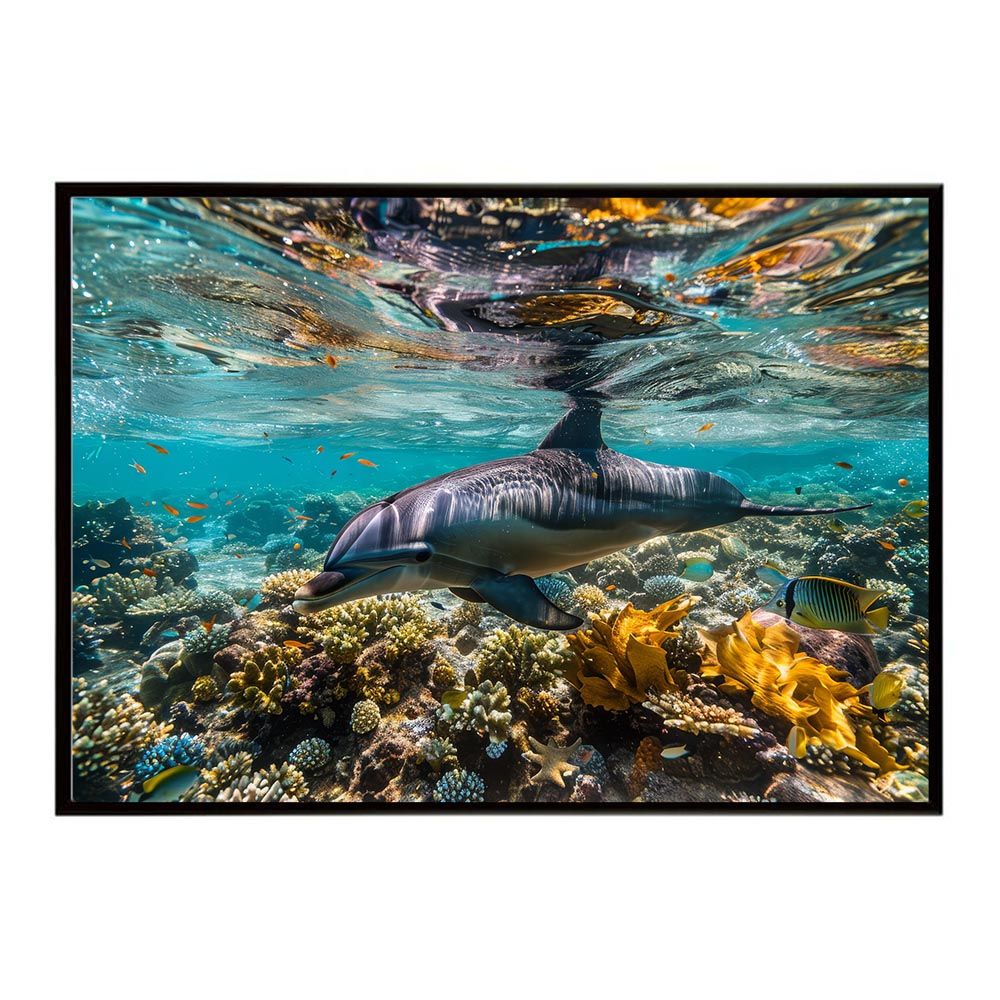 B2サイズ（約51x73cm）】【lh-poster-5856】イルカ 海 ブルー