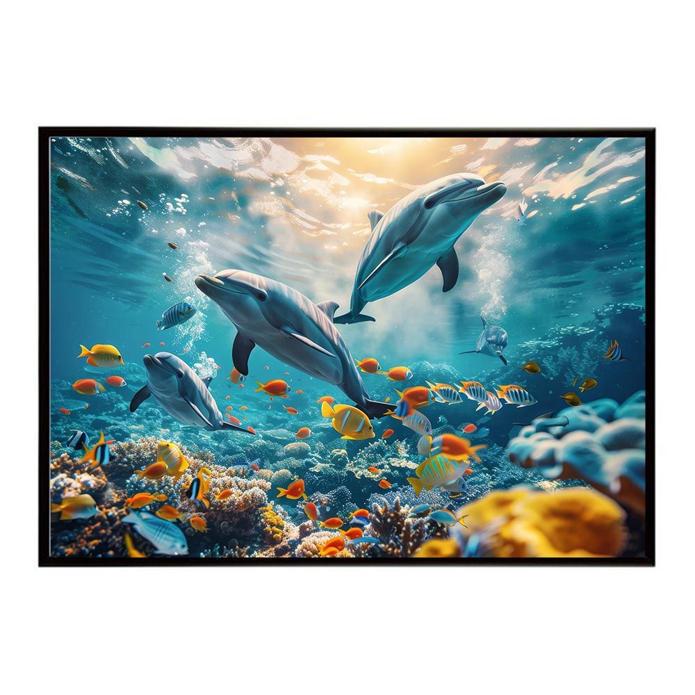 高級品種特別価格セット！ インドネシア多肉 直輸入 プリンス錦