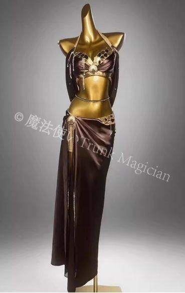 背中 ベリーダンス衣装 トップスブラ スカート 光沢 オーダーメイド