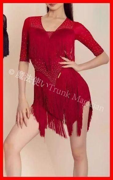 新品未使用】社交ダンス衣装 ラテンワンピースドレス フリンジ 半袖