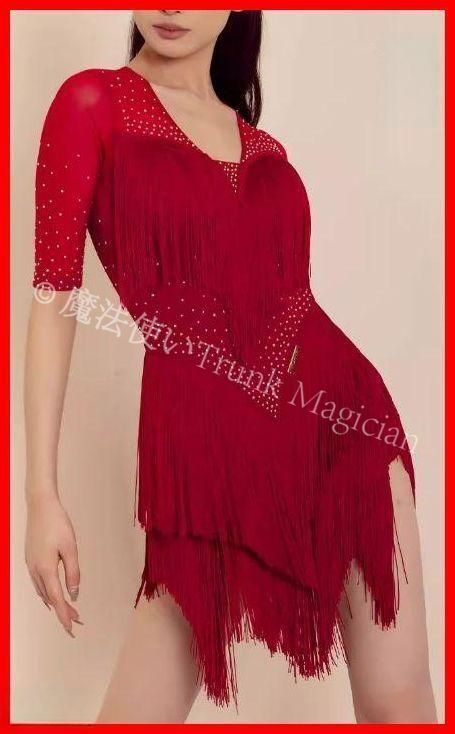 社交ダンス衣装 ラテンワンピースドレス フリンジ 半袖 オーダーメイド