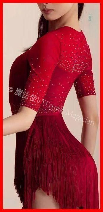 新品未使用】社交ダンス衣装 ラテンワンピースドレス フリンジ 半袖