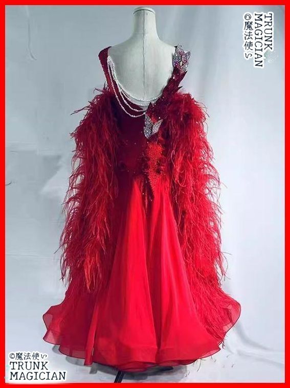 新品未使用】オーダーメイド ☆色変更可能 社交ダンス衣装