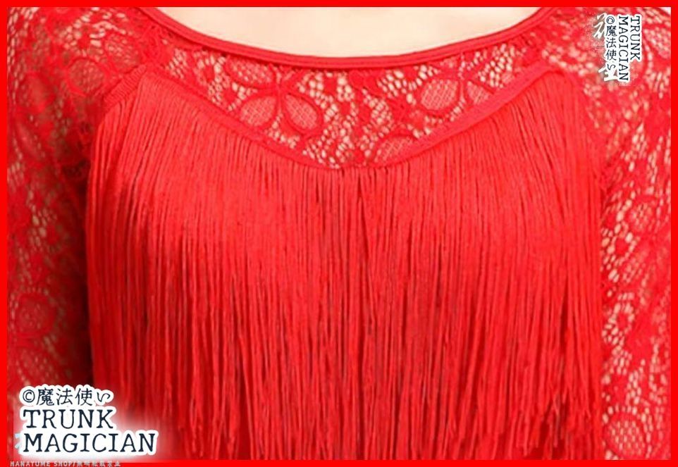 社交ダンス衣装 ラテンワンピース