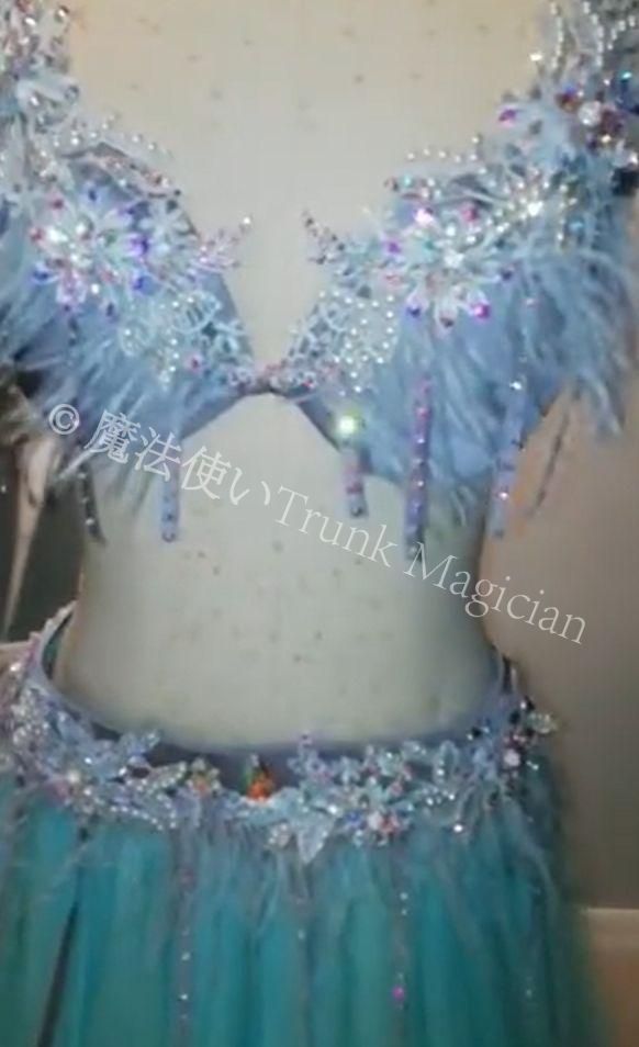 ベリーダンス衣装 オリエンタル衣装 ブラ スカート 羽根 オーダーメイド