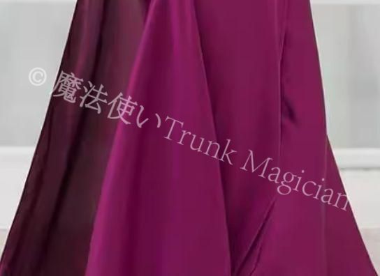 ベリーダンス衣装