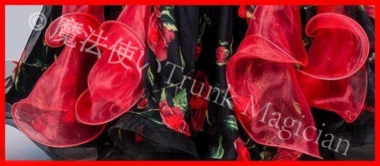  社交ダンスドレス モダンダンス ドレス オーダーメイド ドレス ダンス衣装 社交ダンス