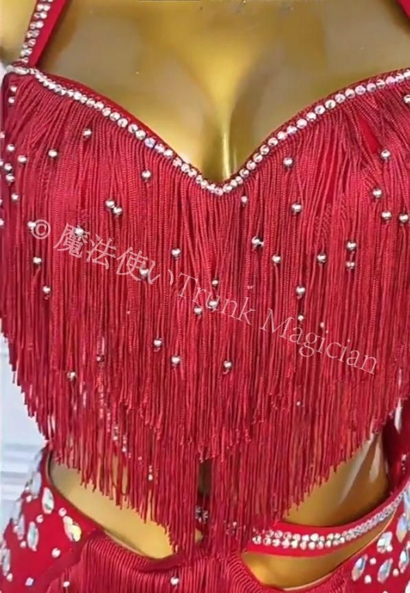  ベリーダンス オリエンタル衣装 フリンジ ドラムソロ オーダーメイド セットアップ ベリーダンス