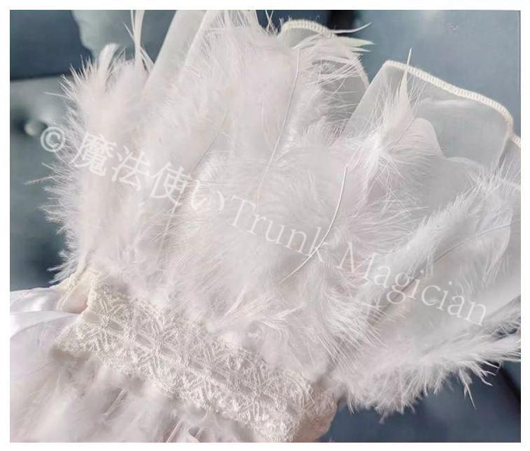 社交ダンス ホワイト