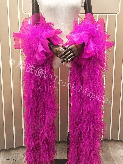 新品未使用】オーストリッチフロート 羽根 社交ダンス モダンダンス 新品未使用】オーストリッチフロート 羽根 社交ダンス モダンダンス