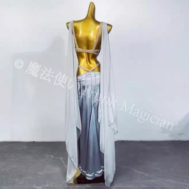 ベリーダンス オリエンタル衣装 刺繍 ブラ スカート オーダーメイド ステージ衣装 グレー