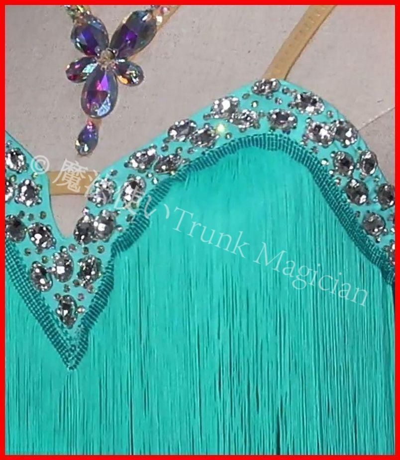 新品未使用】ラテンドレス ワンピース フリンジドレス ミント 色変更可