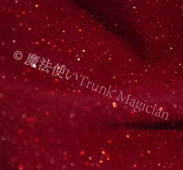  ベリーダンス衣装 セット スリーブ付き ブラ スカート レッド オーダーサイズ セットアップ ベリーダンス