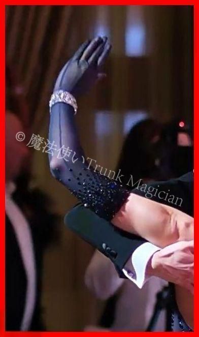 手袋 ストーン ラテンダンス 社交ダンス モダンダンス オーダーメイド