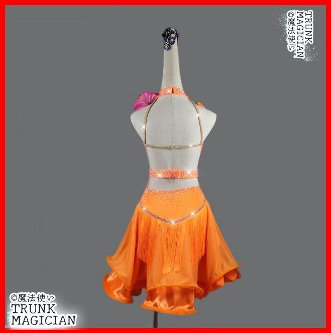 ラテンワンピースドレス 社交ダンス衣装