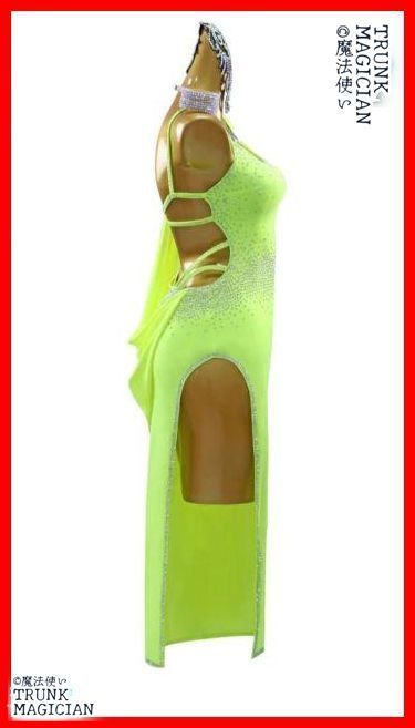 ラテンドレス デモ