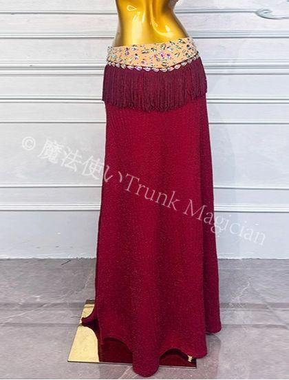  ベリーダンス衣装 フリンジ ブラスカートセット オーダーメイド セットアップ ベリーダンス