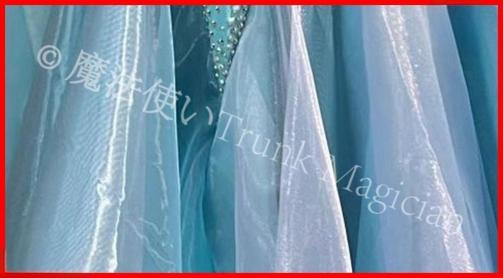  オーダーメイド 社交ダンス衣装 ドレス モダンダンス ドレス ダンス衣装 社交ダンス