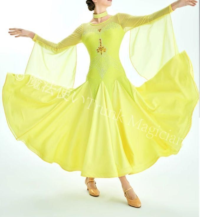 ♥ オーダーメイド 社交ダンス衣装 フロート スタンダードドレス