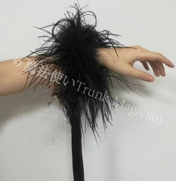 新品未使用】オーストリッチフロート 羽根 リボン 社交ダンス モダン