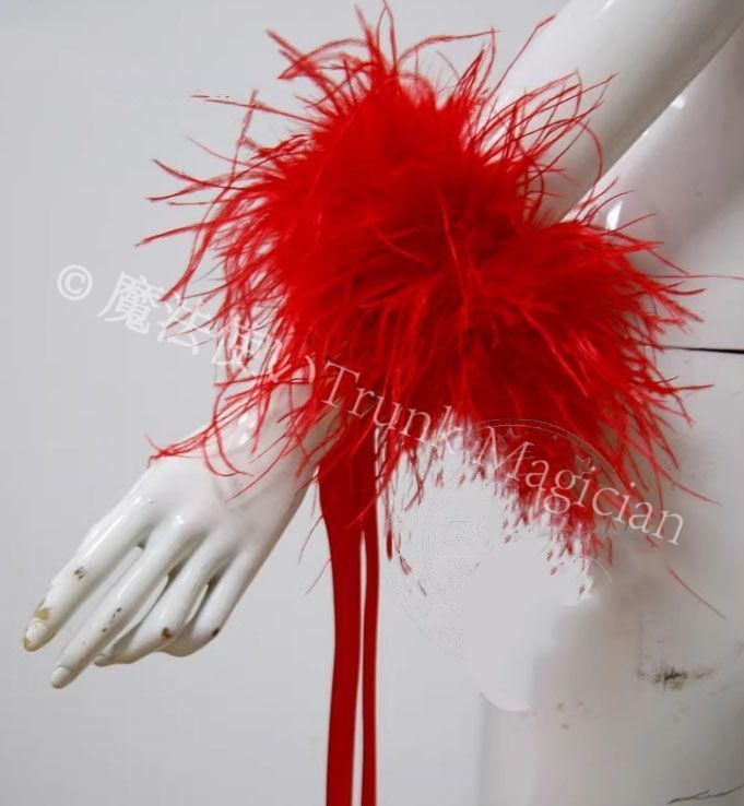 新品未使用】オーストリッチフロート 羽根 リボン 社交ダンス モダン 新品未使用】オーストリッチフロート 羽根 リボン 社交ダンス モダン