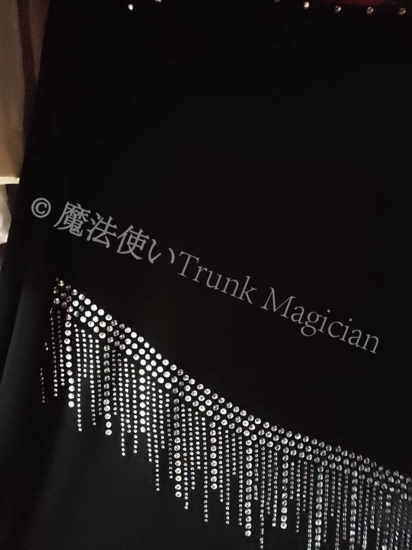 新品未使用】ストーン付ワンピース☆スタンダードの練習にもダンス