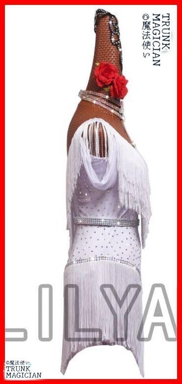 ラテンドレス ラテンワンピース ダンス衣装 フリンジ オーダーメイド