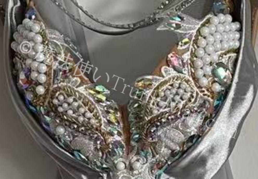 新品未使用】ベリーダンス オリエンタル衣装 シルバー セットアップ