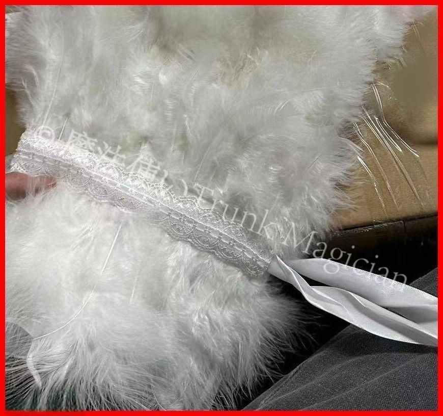 社交ダンス ホワイト