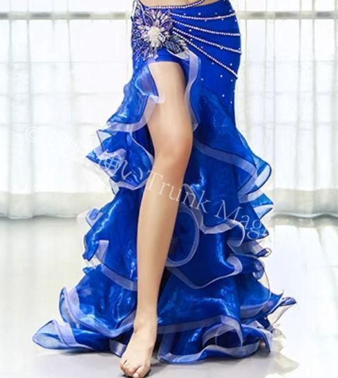  ベリーダンス衣装 トップスブラ スカート インナーパンツ付 オーダーメイド セットアップ ベリーダンス