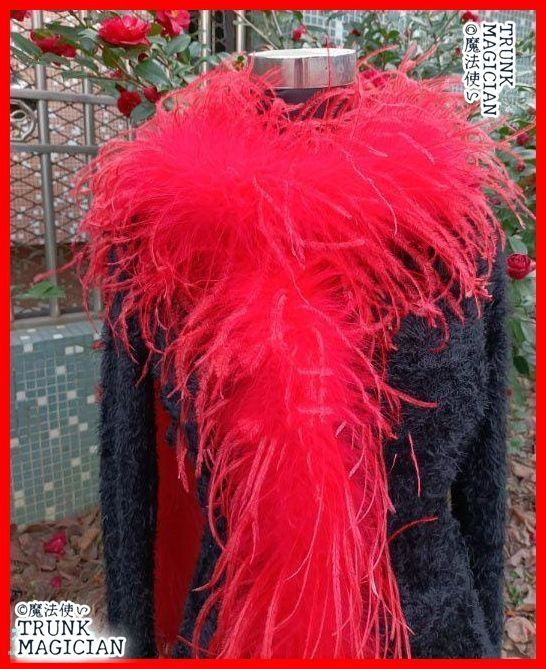 オーストリッチ