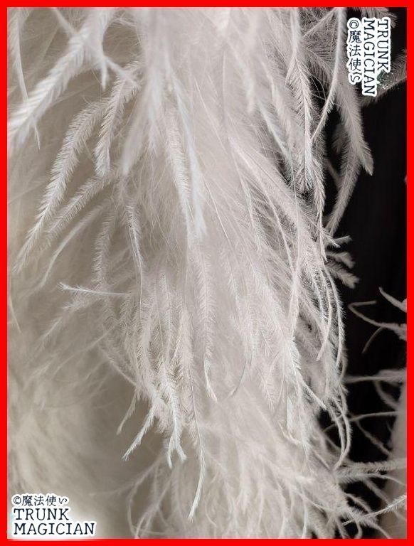  オーストリッチ フロート 羽根 190㎝ ボリューム 社交ダンス DIY ヘア小物 アクセサリー バレエ